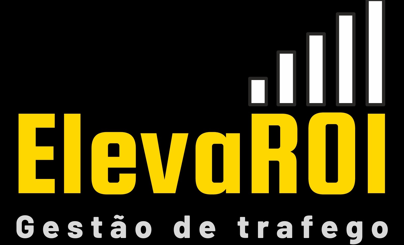 ElevaROI Gestao de Trafego